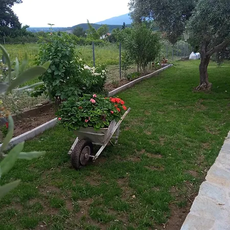 Family House Platamonas