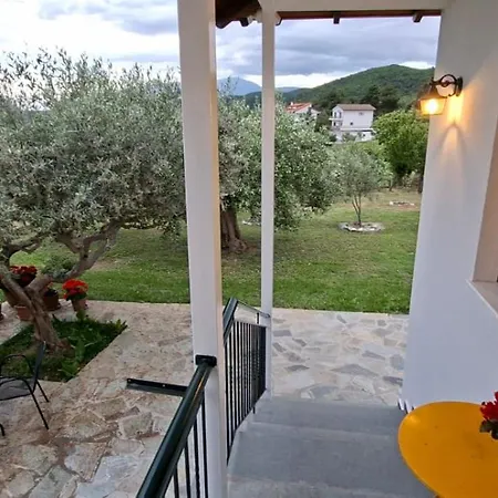 Family House *