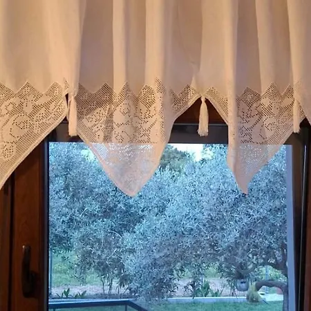 Family House *
